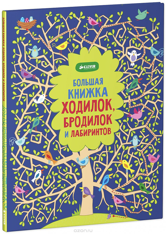 Книга загадок проект