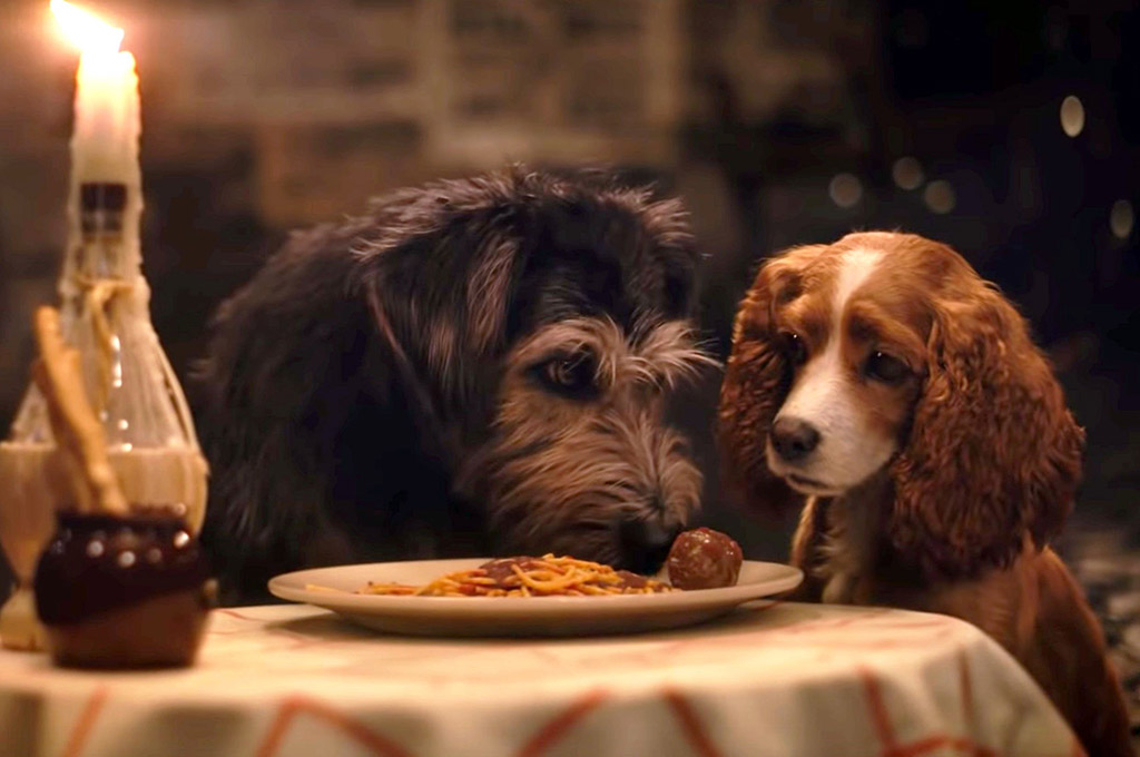 Читайте рецензию на новый фильм «Леди и Бродяга»