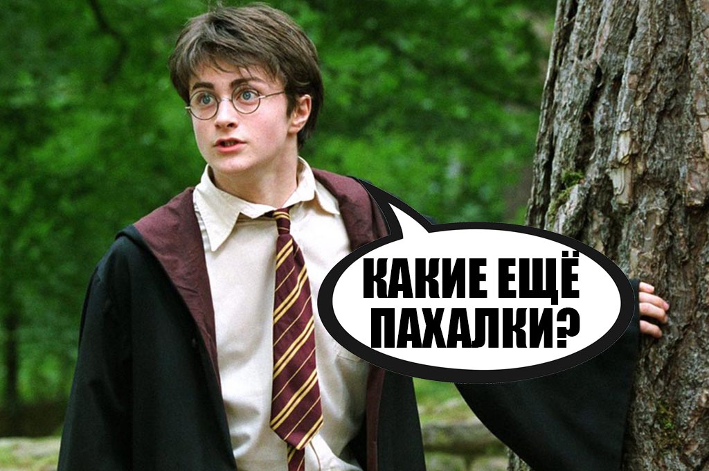 Почему Гарри Поттер выжил: основные причины