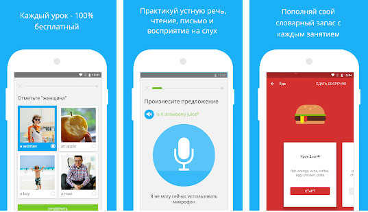 Работает ли duolingo без интернета